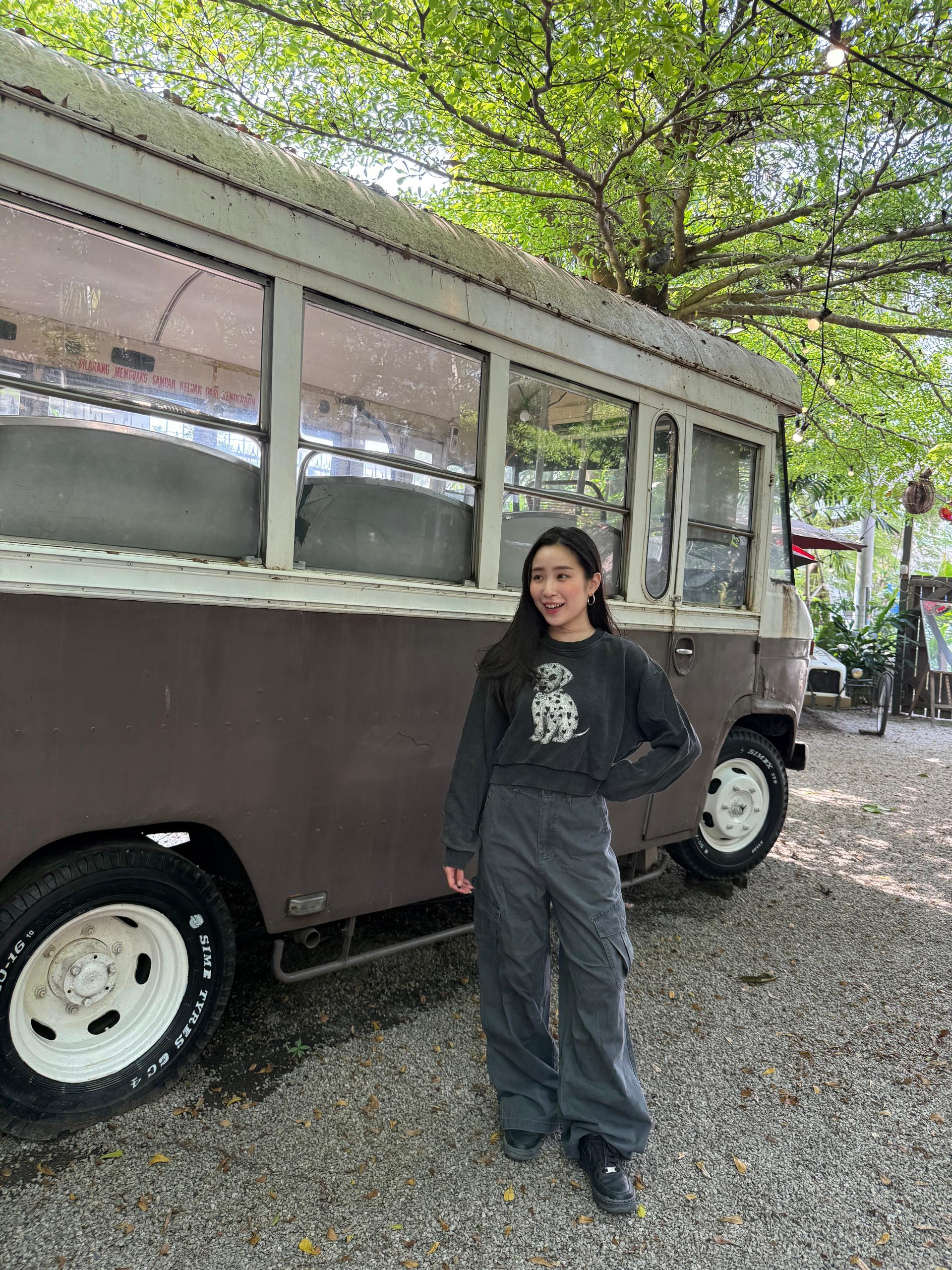 0158 DALMATIAN SWEATER